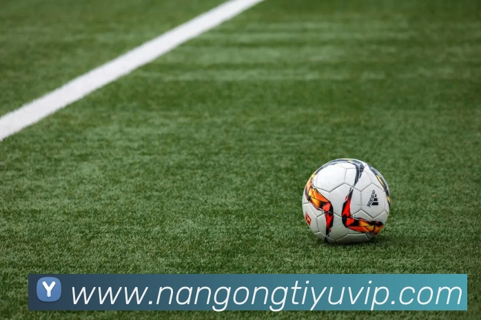 南宫体育品牌故事