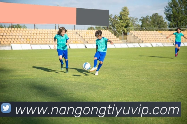 南宫体育服务体系