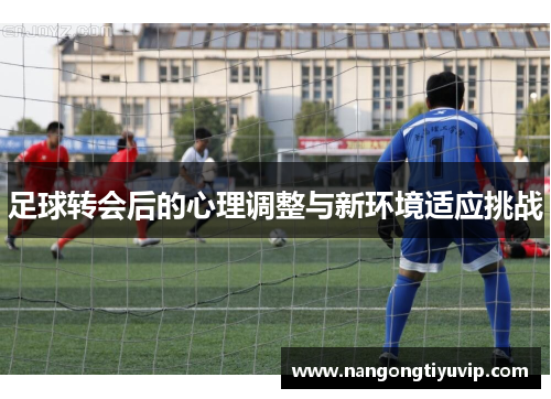 足球转会后的心理调整与新环境适应挑战