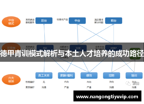 德甲青训模式解析与本土人才培养的成功路径